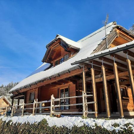 Eko Hisa Mozirje Villa Exterior foto