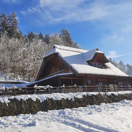 Eko Hisa Mozirje Villa Exterior foto
